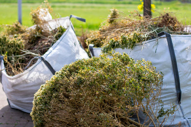 Best Demolition Debris Removal  in South Apopka, FL